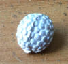 Pewter Berry Button
