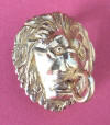 Brass Lion Head with Hook
