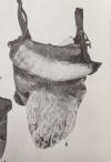 American Rangers Hunting Pouch